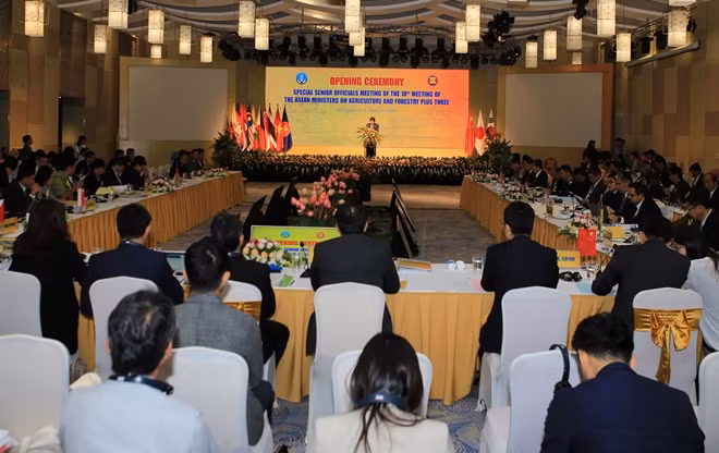 Hội nghị Bộ trưởng Nông Lâm nghiệp ASEAN và 3 nước đối tác chiến lược Trung Quốc, Nhật Bản, Hàn Quốc (AMAF+3) lần thứ 18 diễn ra tại TP Huế vào sáng 7-8.