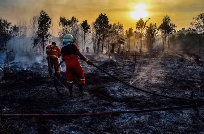 Lính cứu hỏa căng mình chữa cháy rừng tại Kampar (đảo Sumatra, Indonesia) vào ngày 13-8-2019.