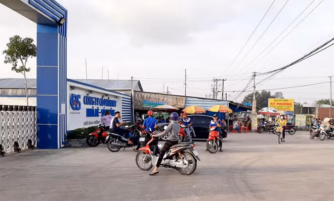 Tại cổng công ty sáng 2-12.