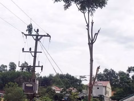 Hiện trường vụ việc.