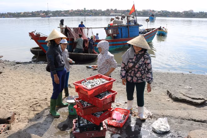 Các bộ ngành và địa phương cần sớm phối hợp tháo gỡ khó khăn, để ngư dân yên tâm vươn khơi, bám biển.
