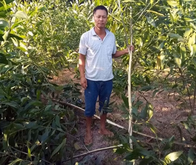 Anh Phùng Văn Huệ trước những cây keo bị chặt phá.