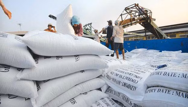 Việc cho phép khối tư nhân Philippines được tự do nhập khẩu sẽ tạo nhiều cơ hội cho các doanh nghiệp xuất khẩu gạo của Việt Nam về tiếp cận thị trường gạo Philippines. Ảnh minh hoạ Internet.