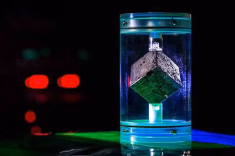 Đức quốc xã từng sở hữu 664 khối lập phương uranium như thế này. Ảnh: Le Figaro. Đức quốc xã từng sở hữu 664 khối lập phương uranium như thế này. Ảnh: Le Figaro.