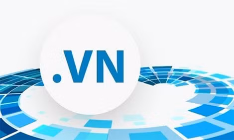 Mở rộng không gian phát triển cho tên miền quốc gia Việt Nam ảnh 1