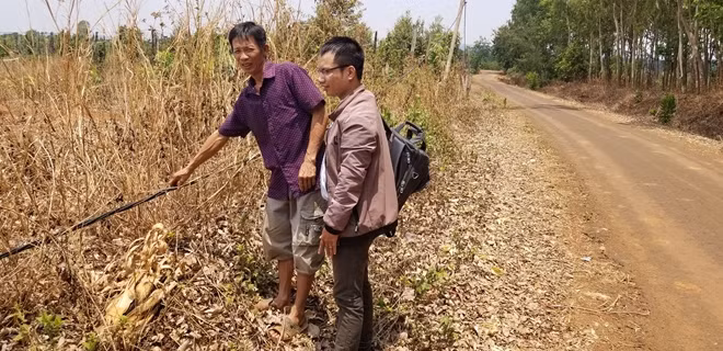 Dây điện tự phát của người dân thấp lè tè trên mặt đất rất mất an toàn.