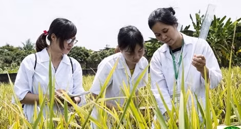 Thiếu hụt trầm trọng nguồn nhân lực chất lượng cao trong lĩnh vực nông nghiệp