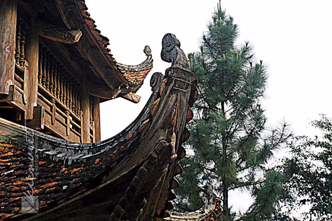 Mái chùa làng Việt.