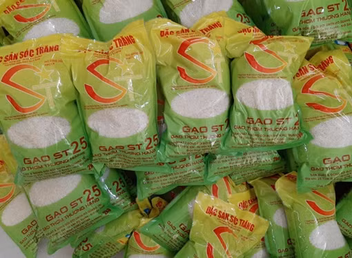 Triển khai sản xuất hàng hóa đối với giống lúa ngon nhất thế giới ST25