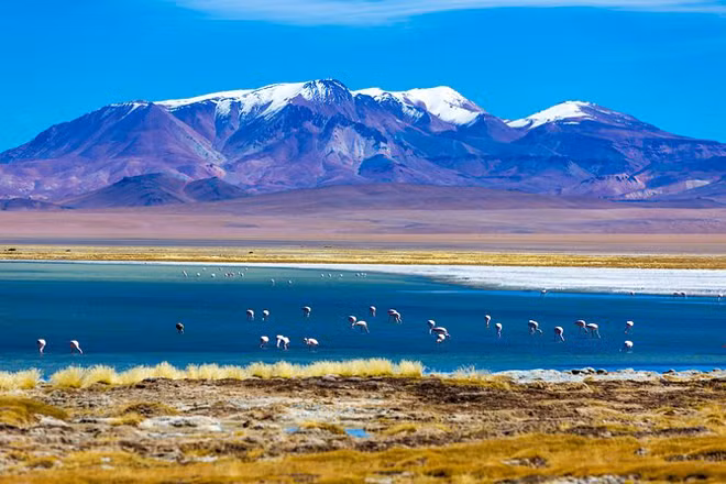 Hồ muối Salar de Atacama, nơi đang lưu trữ hơn ¼ nguồn cung lithium của thế giới. Ảnh nguồn: Viator.