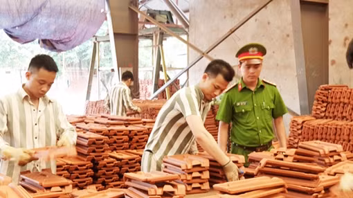 Xem xét thí điểm đưa phạm nhân ra lao động ngoài trại giam ảnh 3