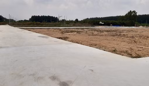 Đồng Nai vẫn “nóng” tình trạng phân lô bán nền đất trái phép
