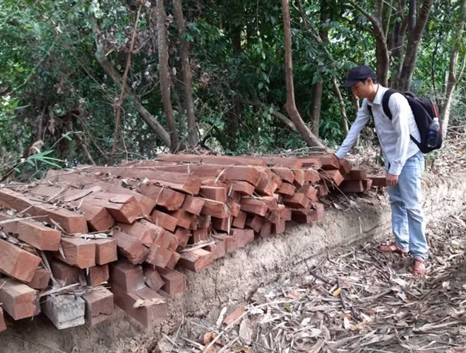 Gỗ rừng bị xẻ thành nhiều đoạn nhỏ chất thành đống ngay khu vực bìa rừng. Gỗ rừng bị xẻ thành nhiều đoạn nhỏ chất thành đống ngay khu vực bìa rừng.