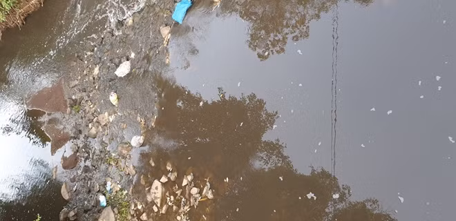 Nước trên dòng suối chuyển màu đen ngòm