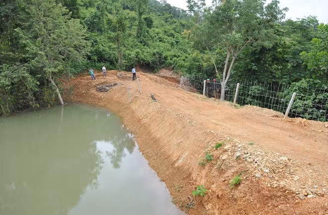 Phía cuối dòng suối, ông Diễn cho ngăn một con đập chắn dòng chảy để “tạo cảnh quan”