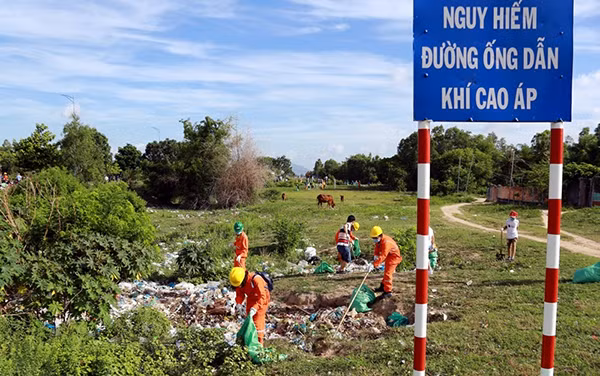 Cán bộ công nhân viên NCSB nhặt rác làm sạch môi trường.