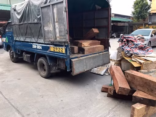 Lâm tặc “âm thầm” khai thác trái phép hơn 22,3m³ gỗ hương ảnh 4