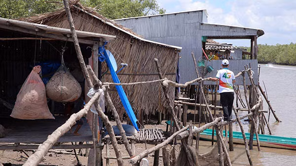 Việc di chuyển qua những chiếc cầu khỉ như thế này là điều bình thường và từ lâu đã trở thành quen thuộc với các CBNV Viettel huyện Ngọc Hiển để mang 4G đến với người dân. Độ dài của cây cầu phụ thuộc vào khoảng cách giữa hai hộ dân, có khi lên đến hơn 20 mét. Việc di chuyển qua những chiếc cầu khỉ như thế này là điều bình thường và từ lâu đã trở thành quen thuộc với các CBNV Viettel huyện Ngọc Hiển để mang 4G đến với người dân. Độ dài của cây cầu phụ thuộc vào khoảng cách giữa hai hộ dân, có khi lên đến hơn 20 mét.