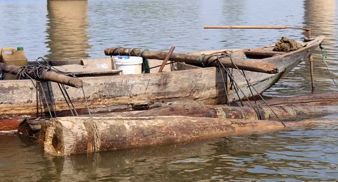 Hàng chục khúc gỗ tròn có chiều dài hơn 3m đã được trục vớt.