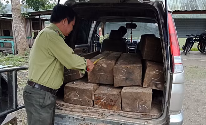 Các băng ghế trên ôtô được tháo ra để chứa gỗ lậu.