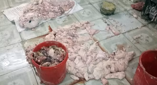 Mỡ động vật tập kết dưới nền nhà tại cơ sở chế biến mỡ của ông Nguyễn Nho Giáo.