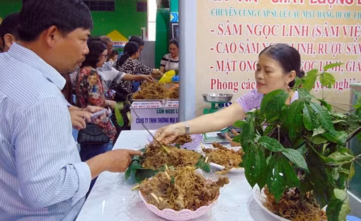 Khai trương Khu trung tâm giới thiệu, tổ chức hội chợ, phiên chợ sâm Ngọc Linh ảnh 4
