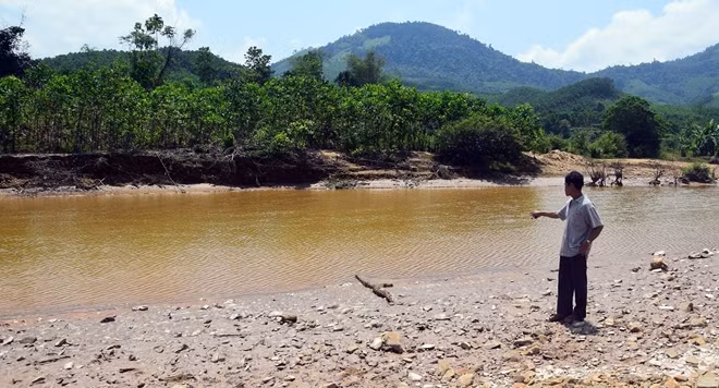 Nước sông Bồng Miêu chuyển màu đục ngầu, khiến cá chết hàng loạt.