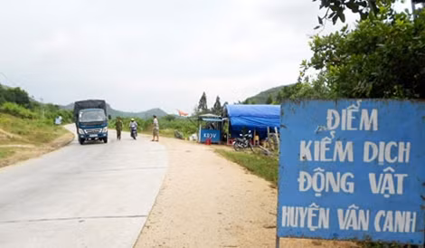Việc thu phí tiêu độc khử trùng tại chốt kiểm dịch động vật huyện Vân Canh đến nay đã chấm dứt.