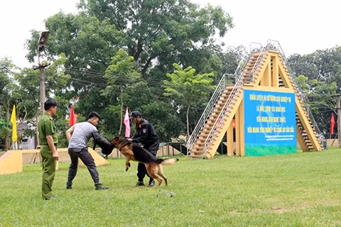 Đổi mới ở lò luyện cảnh khuyển