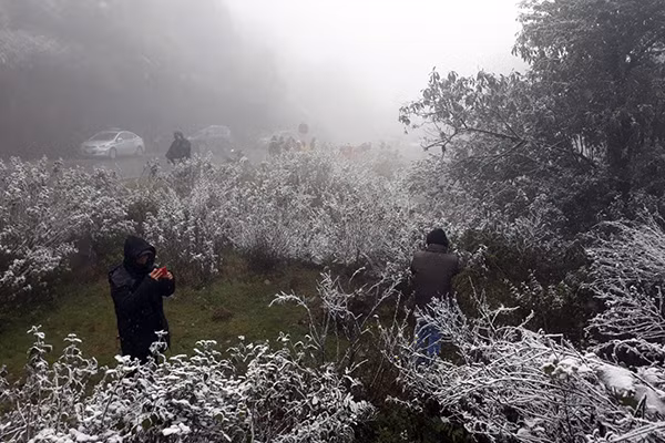 Tuyết rơi giúp Sa Pa thu hút đông du khách tới tham quan nhưng đây lại là môi trường thời tiết khắc nghiệt khiến người nông dân nuôi bò, trồng rau thiệt hại không nhỏ. Tuyết rơi giúp Sa Pa thu hút đông du khách tới tham quan nhưng đây lại là môi trường thời tiết khắc nghiệt khiến người nông dân nuôi bò, trồng rau thiệt hại không nhỏ.