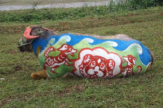 Hình ảnh một đàn chó được họa sỹ vẽ lên một chú trâu tại hội thi với ý nghĩa tượng trưng cho năm mới Mậu Tuất 2018.