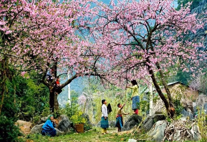 Mùng 3 Tết, Bắc Bộ duy trì nắng đẹp.