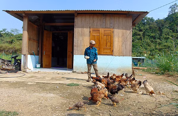 Anh Arất Bước chăm sóc đàn gà của gia đình.