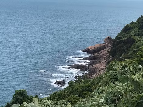 Đoạn Mũi Nghê nơi tìm thấy du khách người Anh bị lạc trong rừng Sơn Trà nhiều ngày liền.