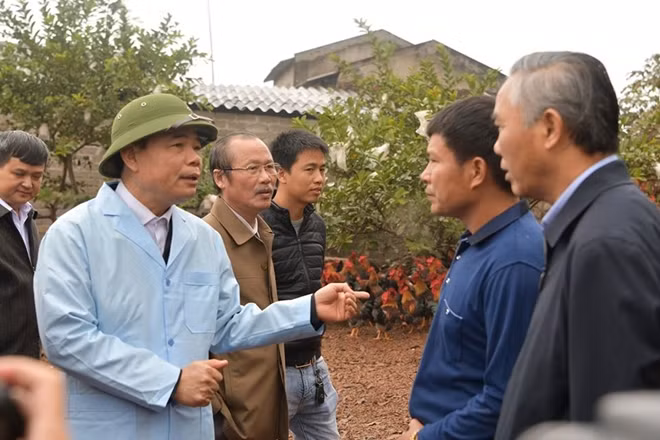 Bộ trưởng Bộ NN&PTNT chỉ đạo không để tình trạng xuất lậu lợn qua biên giới.