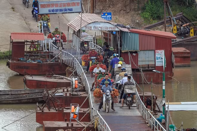 Sau quá trình thu hoạch từ lúc mờ sáng, người nông dân bắt đầu công đoạn tiếp theo, vận chuyển vài thiều đi bán. Vải được chất đầy vào từng sọt với trọng lượng từ 170 – 200kg rồi vận chuyển đến các địa điểm thu mua vải thiều lớn tại huyện Lục Ngạn như Thị trấn Kim, Thị trấn Chũ… Tuy nhiên, người nông dân nơi đây cũng vì thế mà phải thử thách sự can đảm của mình khi phải liều mình băng qua một cây cầu phao "tử thần".
