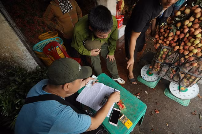 Những chuyến xe vải an toàn qua khỏi cầu phao 'tử thần" sẽ được thương lái thu mua. Cao nhất vẫn là vải Thanh Hà giá bán vào khoảng 20-25 nghìn đồng/1kg. Vải U hồng, U trứng ở mức 17-18 nghìn đồng/1kg thậm chí loại xấu chỉ bán được 14-15 nghìn đồng/1kg.