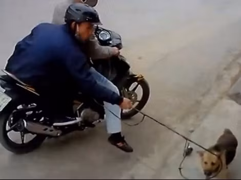 Hành vi cướp chó diễn ra trong thời gian rất ngắn.