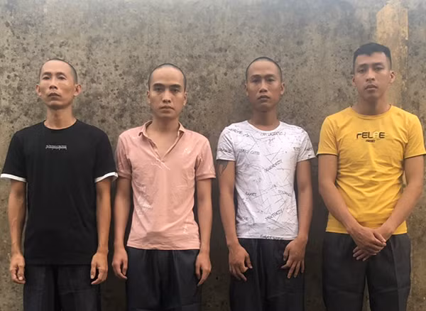 Các đối tượng tại cơ quan điều tra: Phạm Xuân Thái; Lê Hữu Quý; Nguyễn Văn Điền; Trịnh Hà Sơn Bình, Lê Viết Quý, Trịnh Minh Vương, Cao Đăng Nhu.