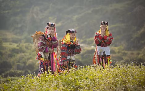 Cô gái người Lô Lô sau khi thu hoạch ngô trở về. Cô gái người Lô Lô sau khi thu hoạch ngô trở về.