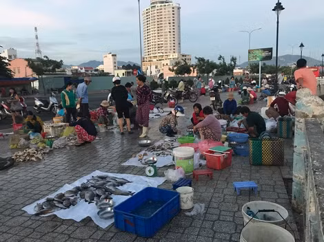 Khu chợ buổi sáng của những tàu giã cào gần bờ thỉnh thoảng có bán cá ngựa tươi sống.