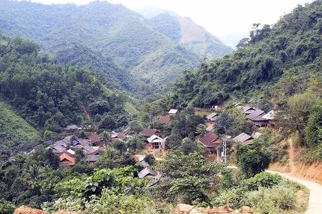 Bản Pha Đón đón xuân trong niềm vui đẩy lùi ma túy.