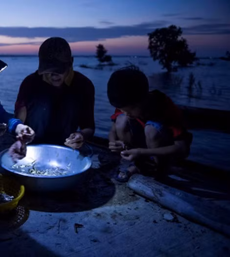 Những con cá đưa lên bờ bán khi trời chưa kịp sáng.