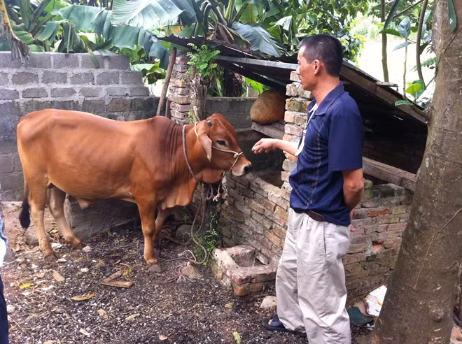 Anh Chung khi trở về cuộc sống đời thường.