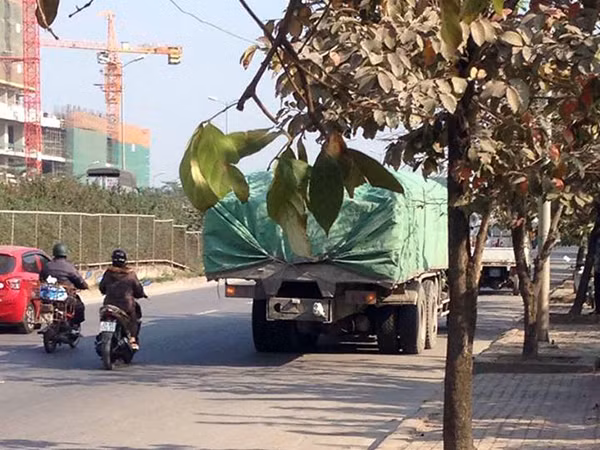 Xe tải sau tai nạn.