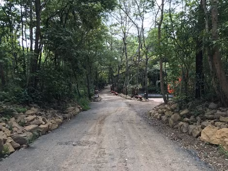 Đường vào thung lũng cá lóc.