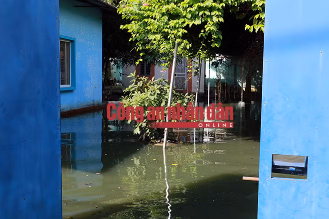 Nước cống tràn ngập nhà dân.