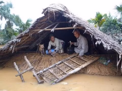 2 cụ già phải mang theo đồ đạc và vật nuôi trèo lên khu mái nhà để tránh nước lũ. Ảnh: Facebook