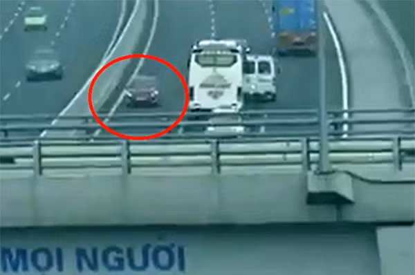 Hình ảnh phương tiện đi ngược chiều do camera ghi lại