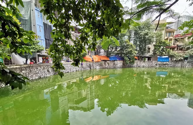 Nắng nóng như thiêu đốt cũng bỗng chốc chở nên dịu mát đối với người dân nơi đây vì đã có cỗ máy điều hòa tự nhiên khổng lồ xanh mát mắt này.